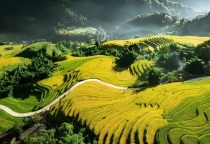 [SAPA] 5 tọa độ check-in ruộng bậc thang Sa Pa đẹp vào mùa lúa chín