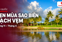 [PHÚ QUỐC] Mùa sao biển Rạch Vẹm từ tháng 11 đến tháng 4: hẹn một chuyến Phú Quốc