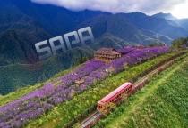 [SAPA] 10 Tips Du Lịch Sa Pa Cho Người Đi Lần Đầu: Chuẩn Bị Gì, Đi Thế Nào?