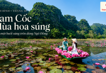 [NINH BÌNH] Mùa hoa súng tháng 10 ở Tam Cốc có gì? Hẹn một buổi sáng trên dòng Ngô Đồng.