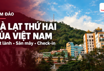 [TAM ĐẢO] Vì sao Tam Đảo được gọi là “Đà Lạt thứ hai” của Việt Nam?