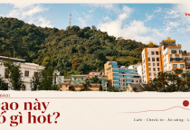 [TAM ĐẢO] Dạo này có gì hot? Cập nhật quán cafe, điểm check-in, ăn uống và lưu trú trước khi đi