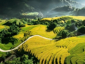 [SAPA] 5 tọa độ check-in ruộng bậc thang Sa Pa đẹp vào mùa lúa chín