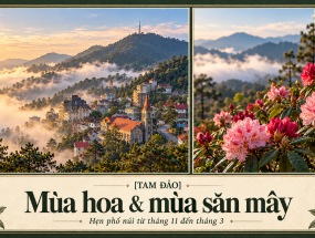 [TAM ĐẢO] Mùa hoa – mùa săn mây: hẹn phố núi từ tháng 11 đến tháng 3