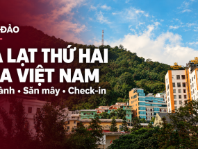 [TAM ĐẢO] Vì sao Tam Đảo được gọi là “Đà Lạt thứ hai” của Việt Nam?
