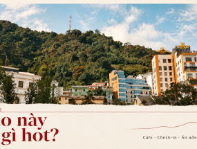 [TAM ĐẢO] Dạo này có gì hot? Cập nhật quán cafe, điểm check-in, ăn uống và lưu trú trước khi đi
