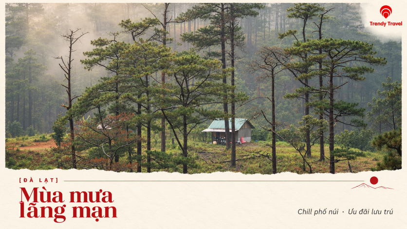[ĐÀ LẠT] Mùa mưa lãng mạn: dành một chuyến đi để chill và săn ưu đãi lưu trú
