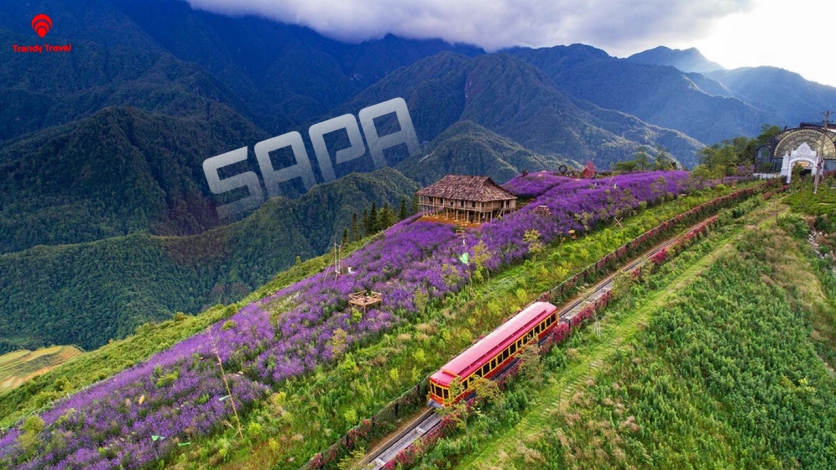 [SAPA] 10 Tips Du Lịch Sa Pa Cho Người Đi Lần Đầu: Chuẩn Bị Gì, Đi Thế Nào?
