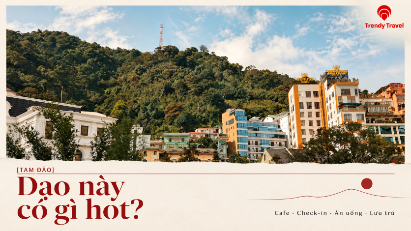 [TAM ĐẢO] Dạo này có gì hot? Cập nhật quán cafe, điểm check-in, ăn uống và lưu trú trước khi đi