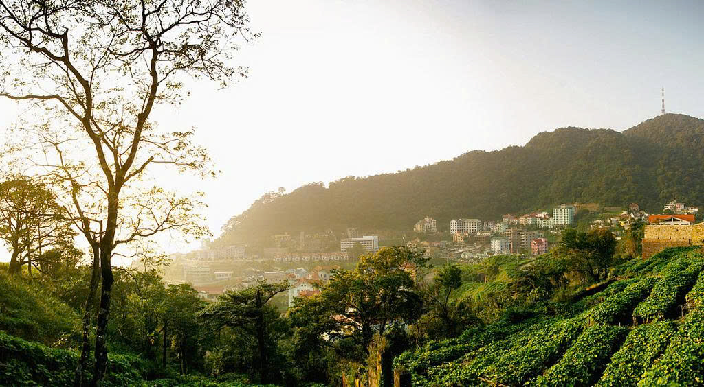 Một buổi sáng ở Tam Đảo
