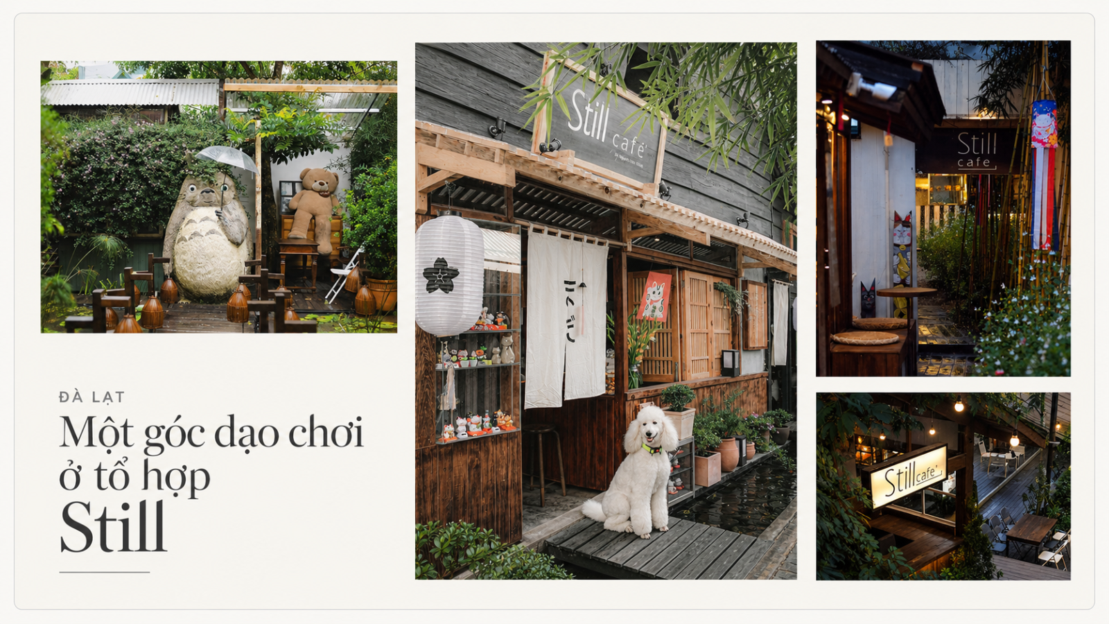Một góc dạo chơi ở tổ hợp Still
