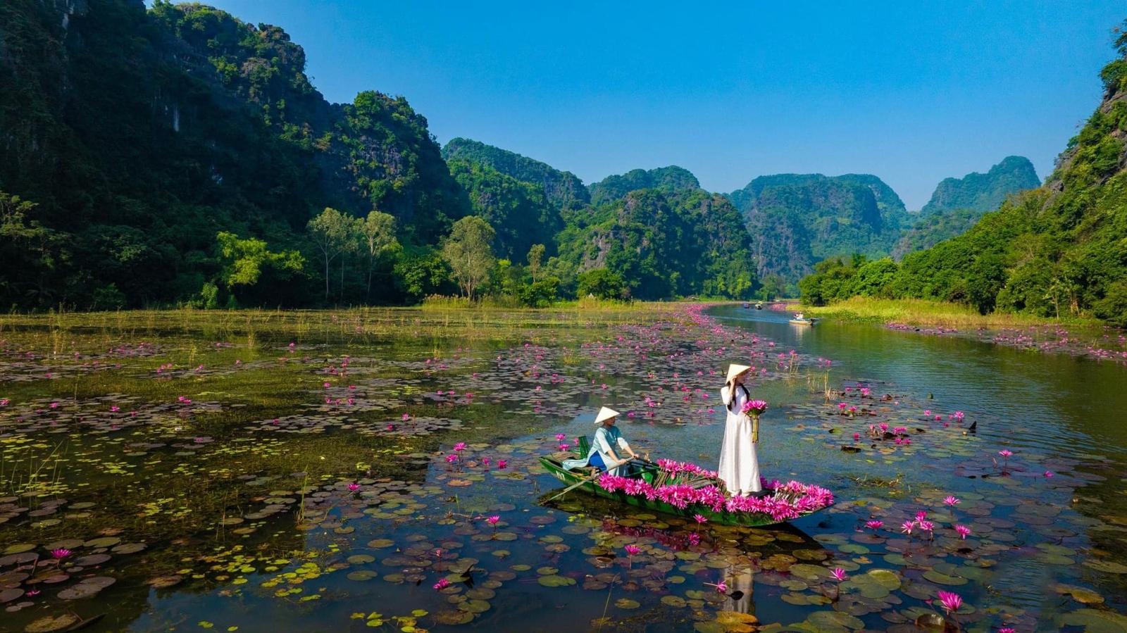 Buổi sáng ngắm hoa trên sông