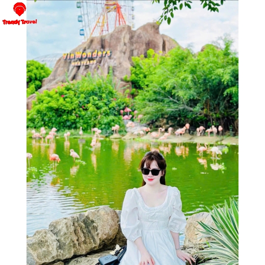 COMBO NHA TRANG NHIỀU LỰA CHỌN