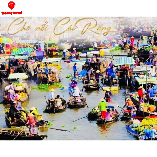 COMBO CẦN THƠ