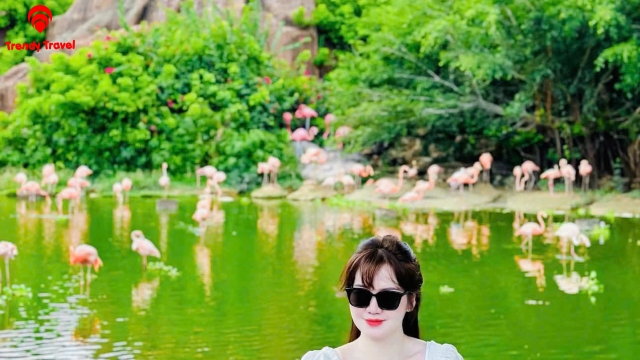 COMBO NHA TRANG NHIỀU LỰA CHỌN